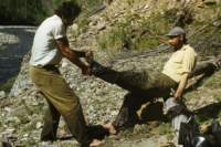 hetana13_small.jpg