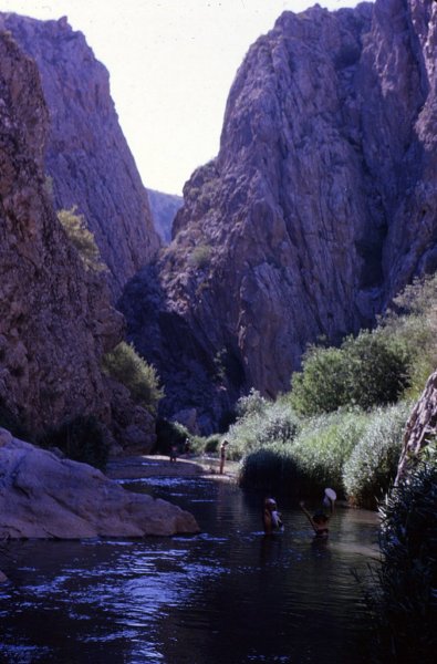 boraldaigorgeinwater.jpg